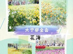 -大宁公园