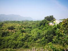 -梨木台悦来客农家院