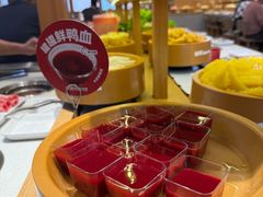 -龍歌自助小火锅(崂山丽达店)