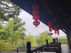 -大唐贡茶院
