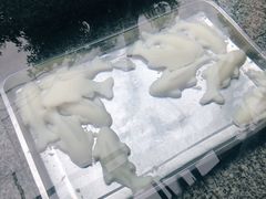 -王氏凉糕(总店)