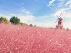 -羊亭河湿地公园