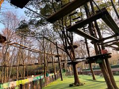 -WeLope紫金山探险公园