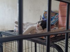 -北京群众马术培训基地