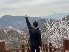 -大岭沟猕猴桃谷风景区