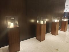 -南大国际会议中心