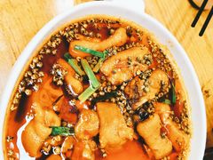冒火蹄花-成都吃客(九眼桥店)