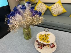 -静博士·养生养颜