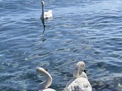 -赛里木湖风景名胜区
