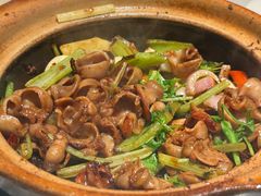 -煲煲好(朝阳门店)
