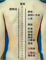 点击看大图 -香薇妮丝女子减肥院