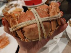 -乐咖啡西餐厅(太湖皇冠假日酒店)