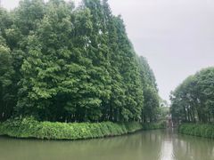 -乌镇东栅景区