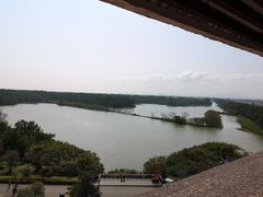 -大湾区中央湿地公园