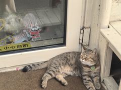 -METAL HANDS(五道营店)
