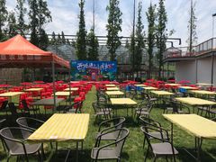 -前小桔亲子创意农场·草莓采摘·露营烧烤