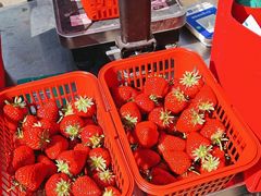 -大自然农场蔬菜草莓采摘园