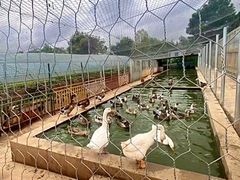 -昆明春城湖畔度假村