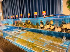-韩记海鲜饺子旗舰店(红海新区店)