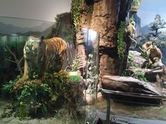 -陕西自然博物馆