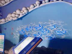 -烟台海昌鲸鲨海洋公园