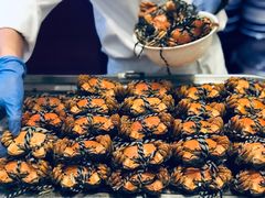 -新发展亚太JW万豪酒店·福苑咖啡厅