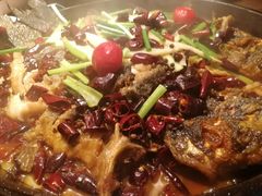 -老板恋上鱼(印象城店)