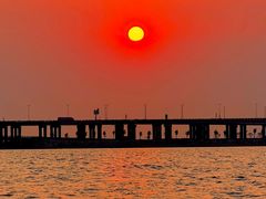 -宝安西湾红树林湿地公园