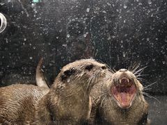 -太平洋海底世界