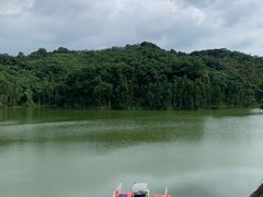 -阳台山森林公园