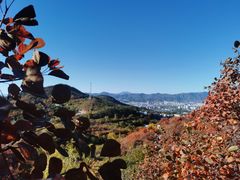 -北京西山国家森林公园