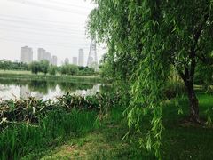 -九里河湿地公园