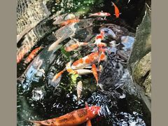 -聚缘堂·海鲜私房菜(松岭路店)