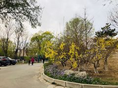 -酷鱼垂钓CLUB(朝阳区博大路店 )