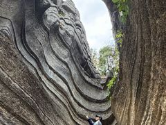 -梭布垭石林景区