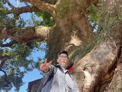 -杨家堂村