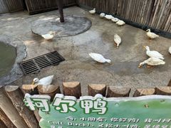 -保定市动物园