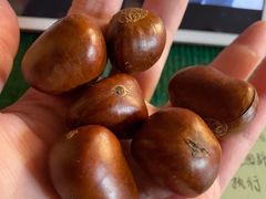 -小叶佳栗子(昌平店)