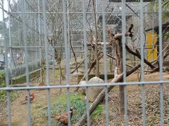 -宁波野生动物园
