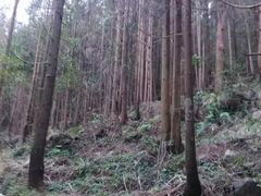 -泽雅七瀑涧景区