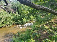 -渔掌门(铁东店)