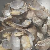馄饨是好吃的，虾仁也是好的