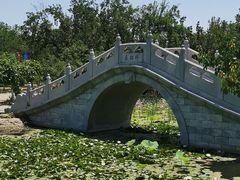-御林古桑园