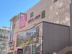 -大商麦凯乐(大连总店)