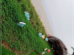 -野狸岛