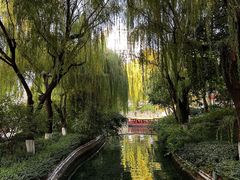 -趵突泉景区