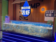 -0048鲜活香辣虾·火锅(铜陵路店)