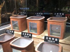 -王捌小院(红花坡店)