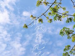 -溯洄咖啡VORTEX COFFEE