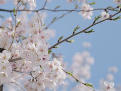 -龙美术馆(西岸馆)
